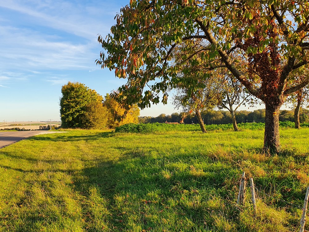 Sur les hauteurs de Villechétif